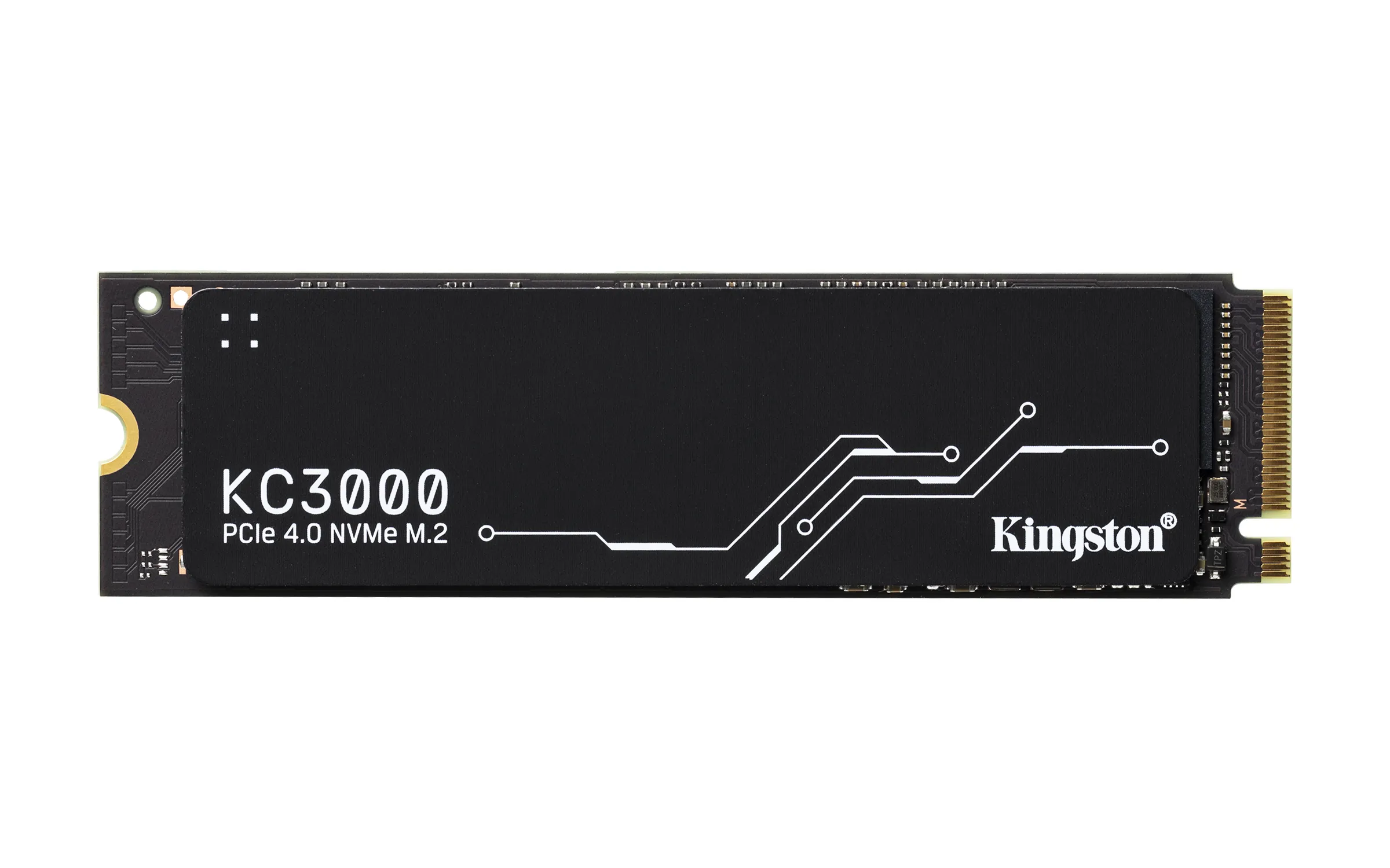 Kingston SKC3000S/1024G